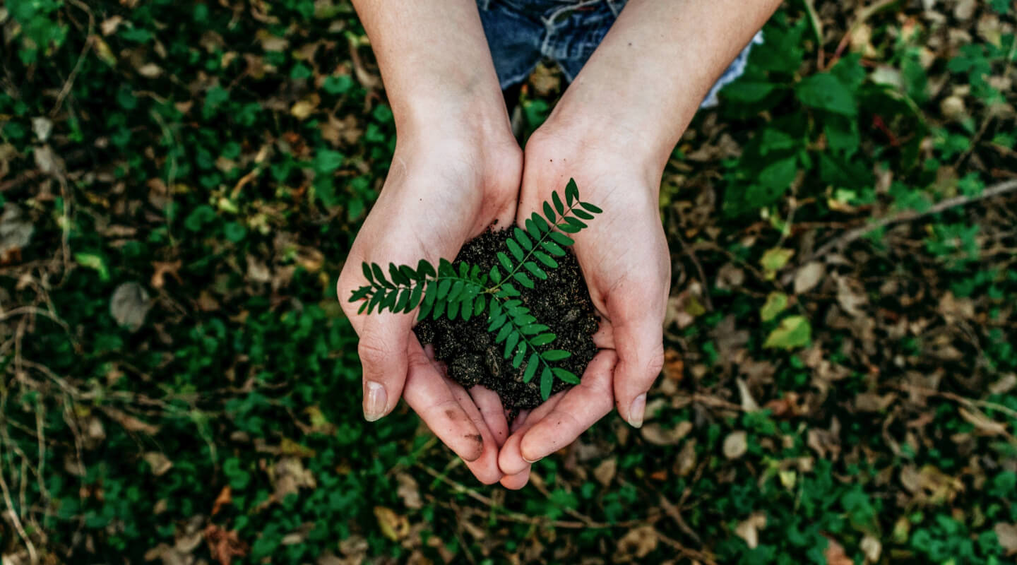 Sustainability イメージ画像