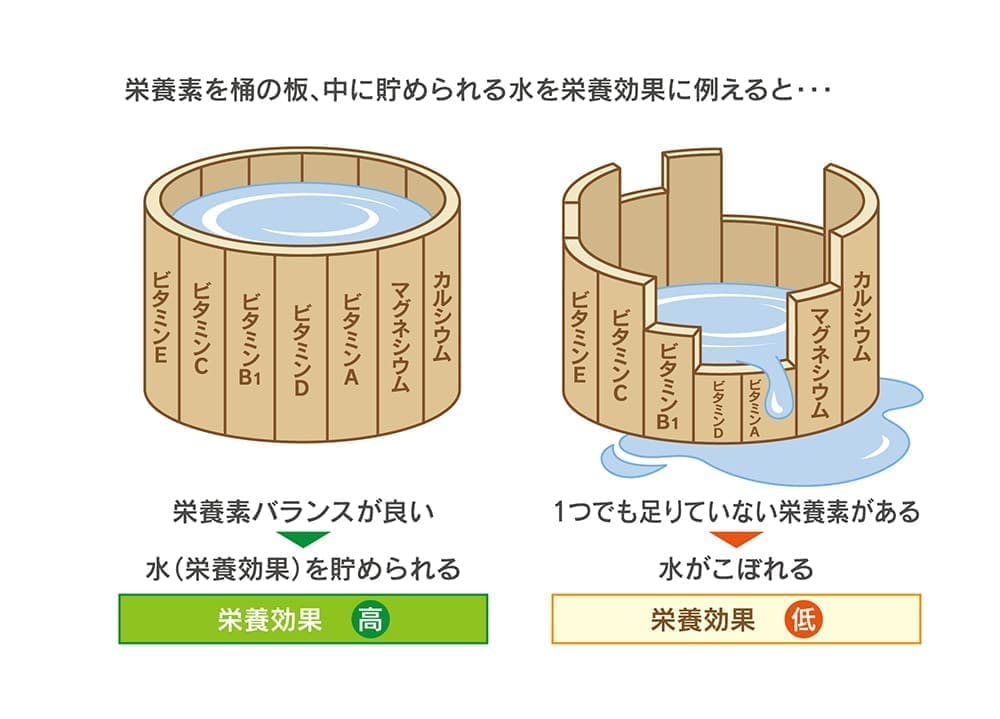 クロレラを丸ごと取り入れることで発揮する体を養う効果