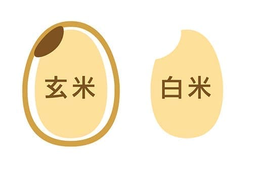 クロレラを丸ごと取り入れることで発揮する体を養う効果