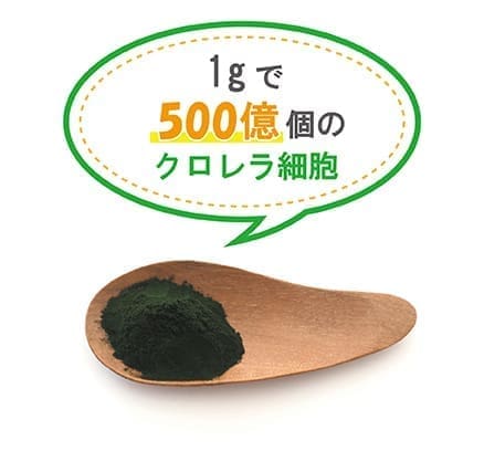 クロレラを丸ごと取り入れることで発揮する体を養う効果