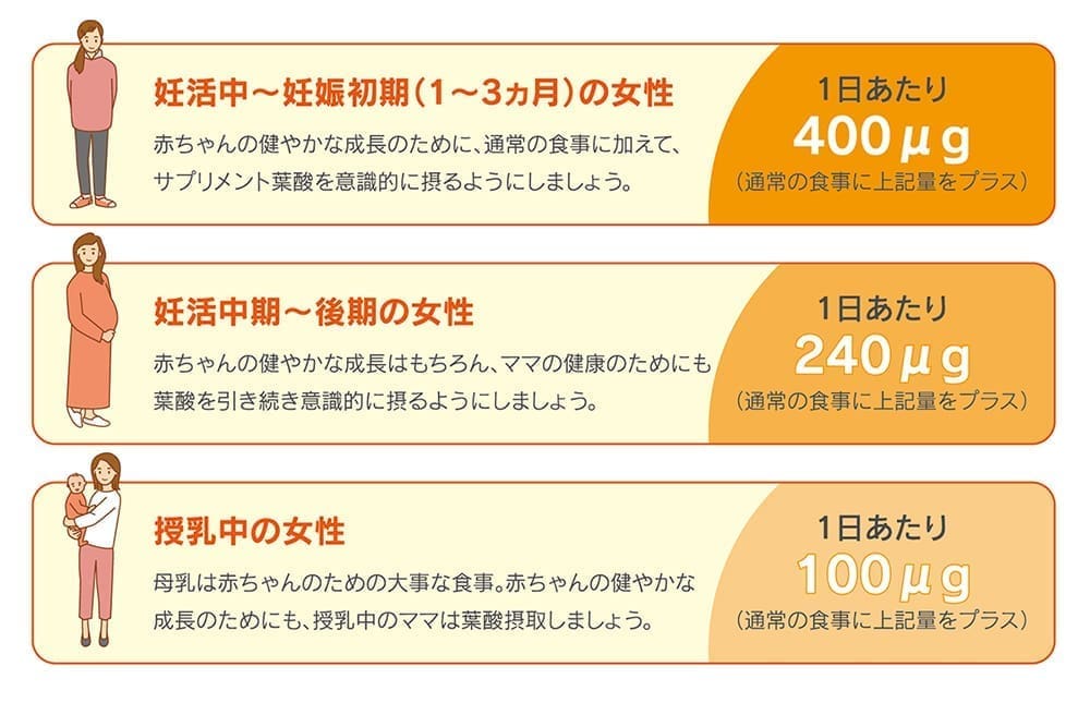 クロレラに含まれる健康に欠かせない特徴的な成分紹介