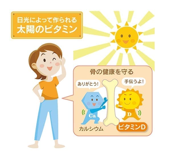クロレラに含まれる健康に欠かせない特徴的な成分紹介