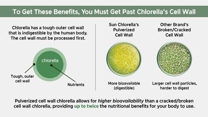 Difference between pulverized and broken cell wall in chlorella to obtain maximum benefits